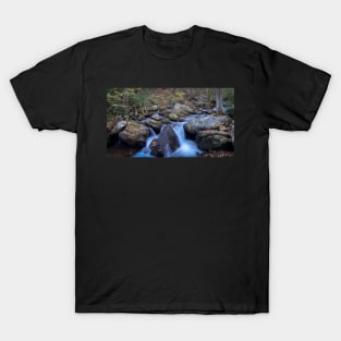 River in the Fall T-Shirt